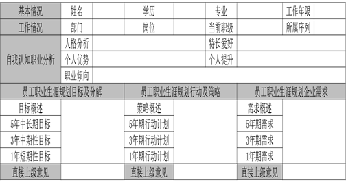 中大咨询：某集团员工职业发展规划项目