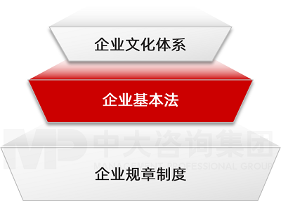 中大咨询企业《基本法》建设