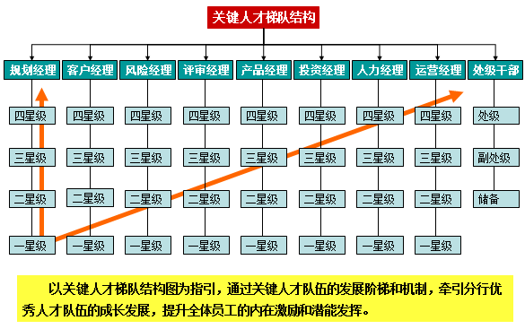 中大咨询项目