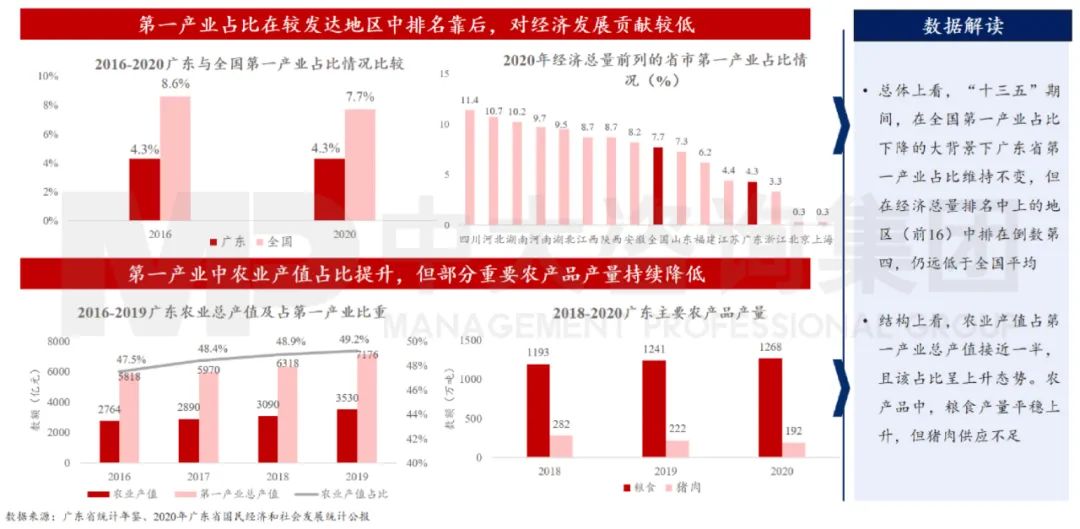 中大咨询：广东省第一产业保持总体稳定