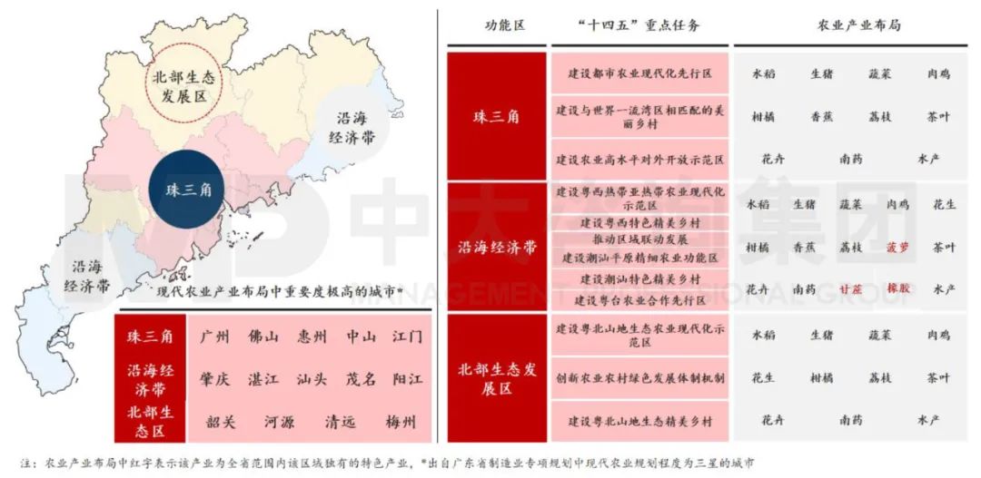 中大咨询：广东省农村农业专项规划