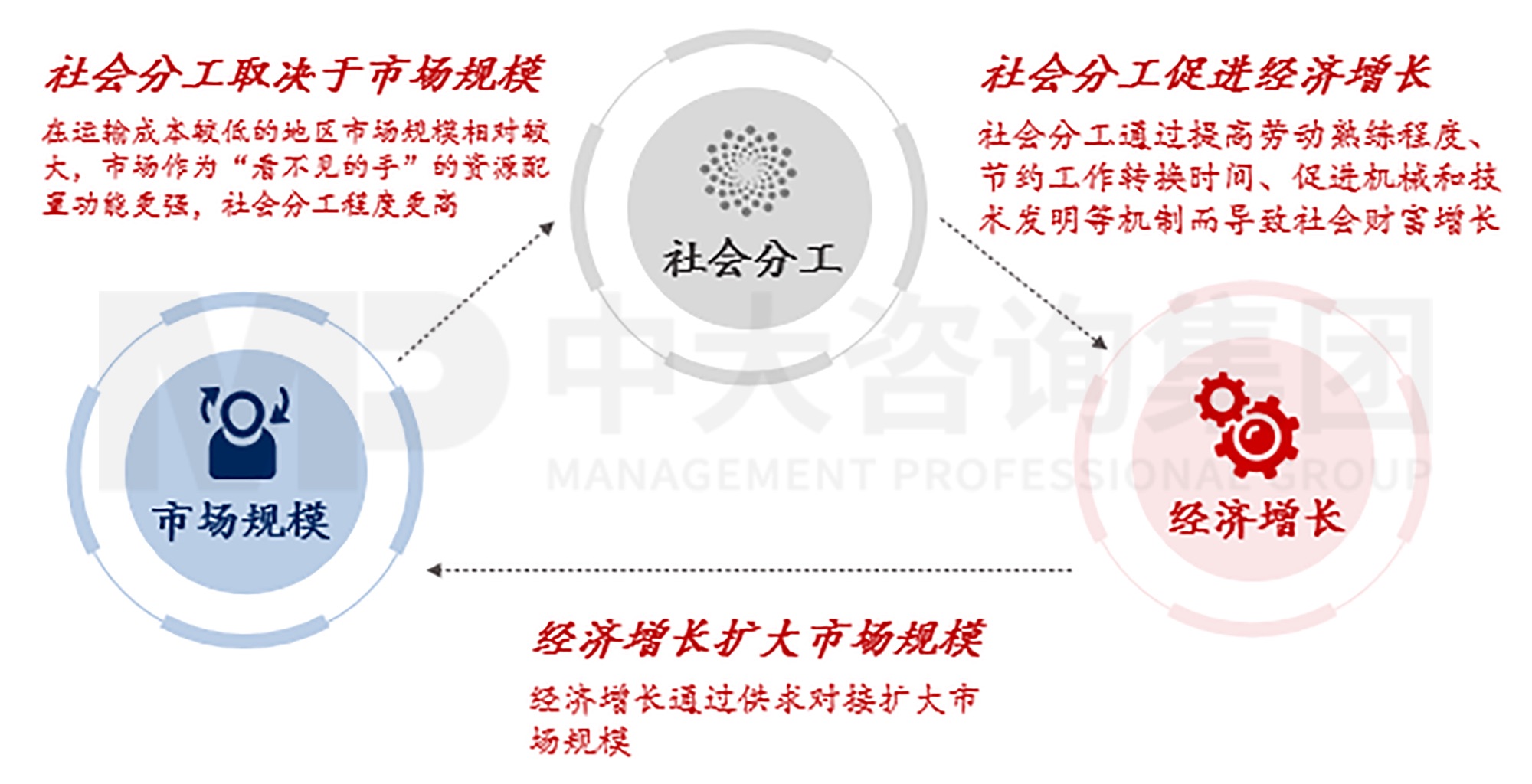 图2 市场规模、社会分工、经济增长之间的关系